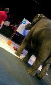 elephant-art-circus